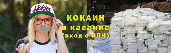 прущие грибы Арсеньев